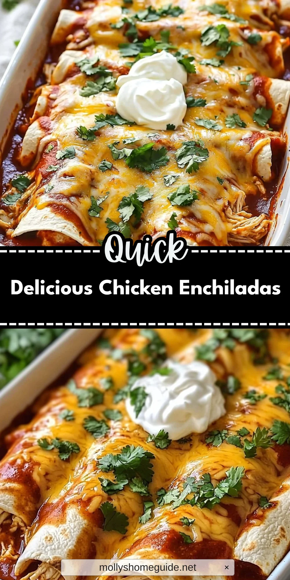 Delicious Chicken Enchiladas