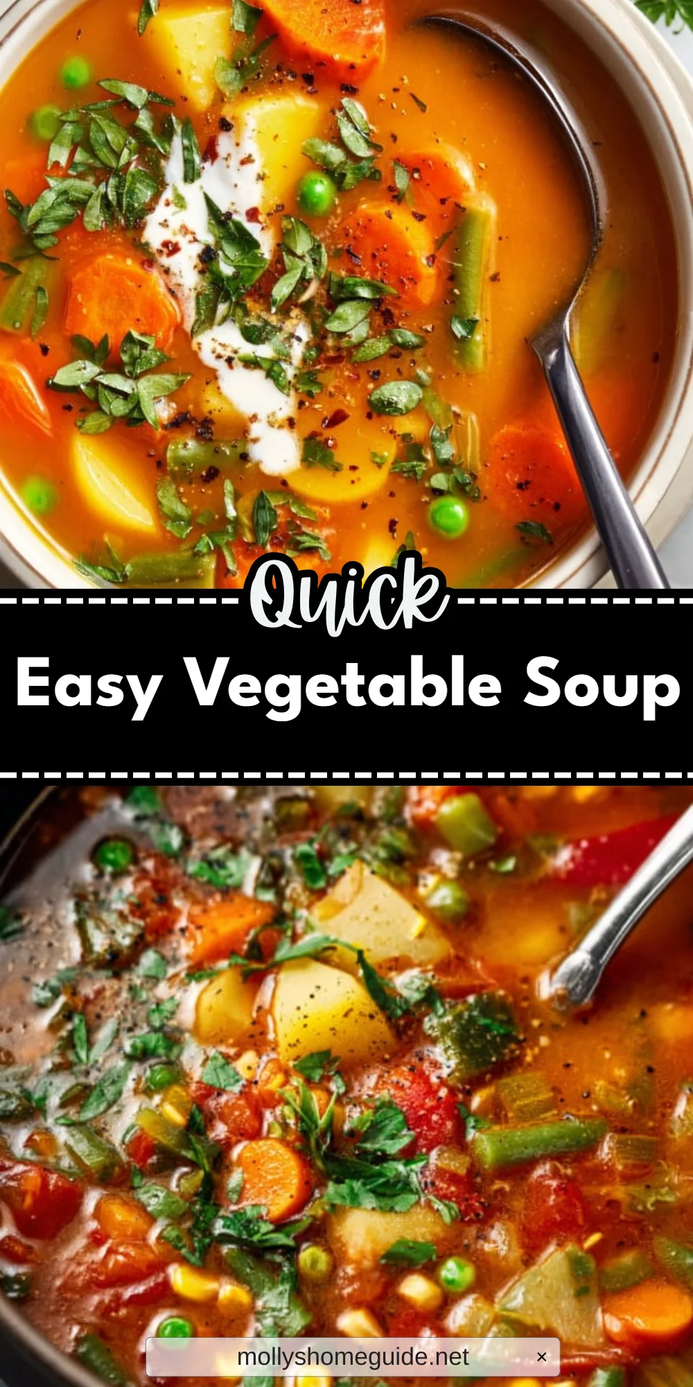 Easy Vegetable Soup