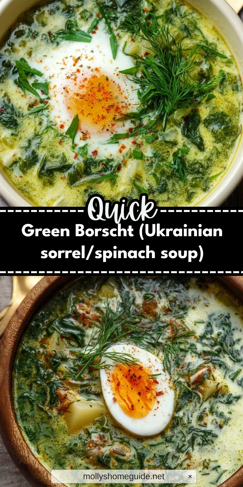 Green Borscht (Ukrainian sorrel/spinach soup)