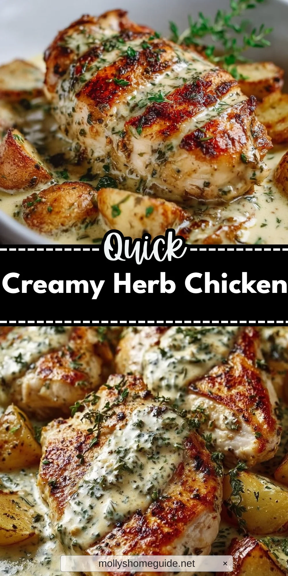 Creamy Herb Chicken