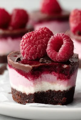 Raspberry Cheesecake Bites featuring a chocolate crust, a delicious dessert treat.