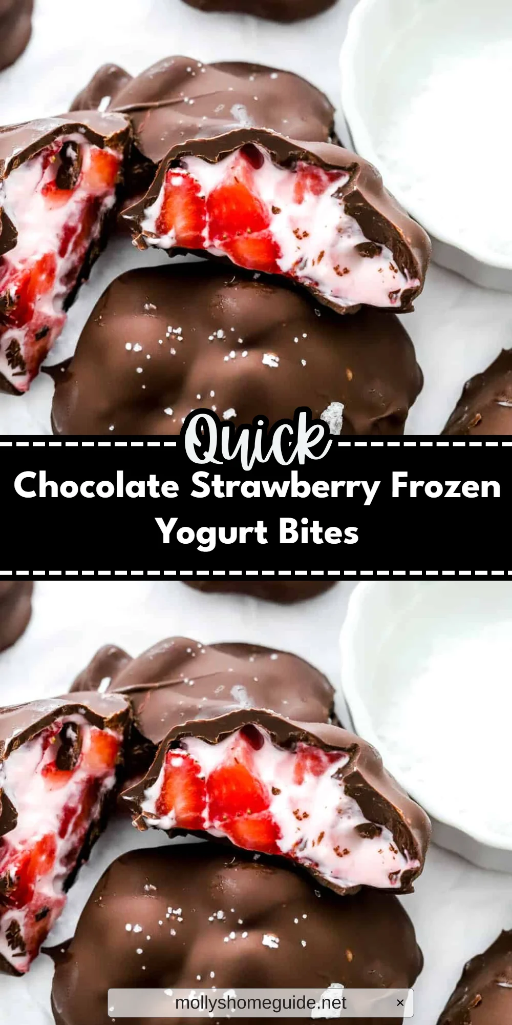 Chocolate Strawberry Frozen Yogurt Bites