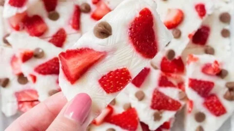 Frozen yogurt bark topped with strawberries and chocolate chips on a white plate