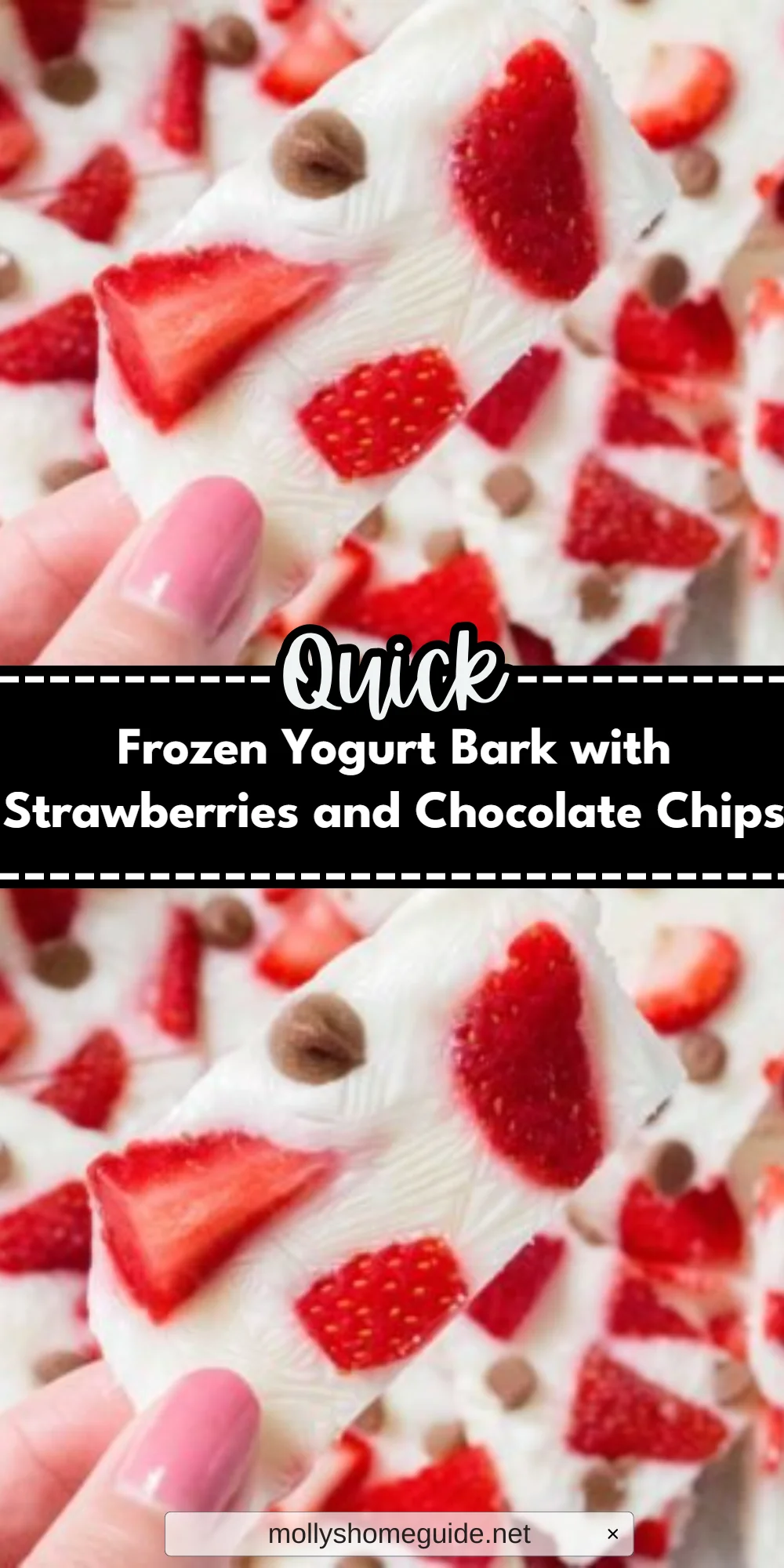 Frozen Yogurt Bark with Strawberries and Chocolate Chips