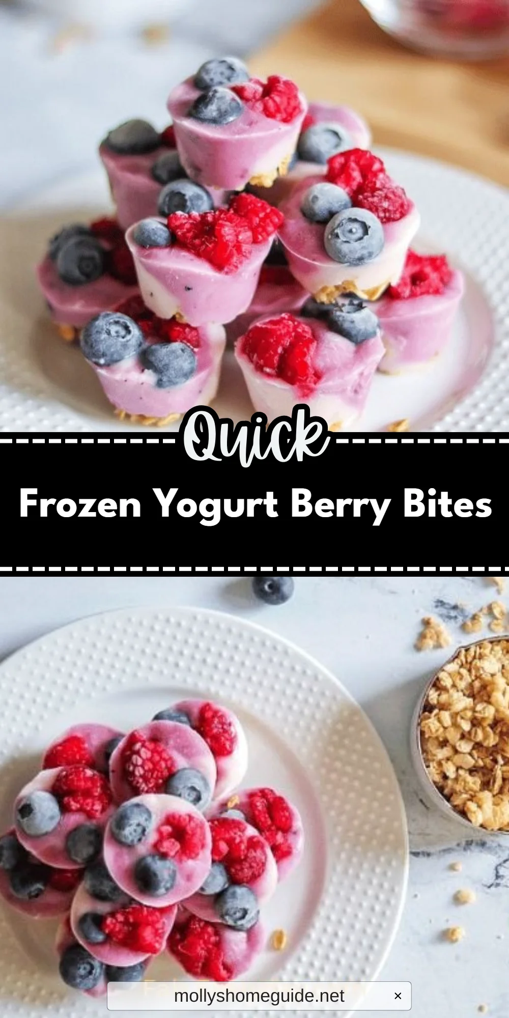 Frozen Yogurt Berry Bites