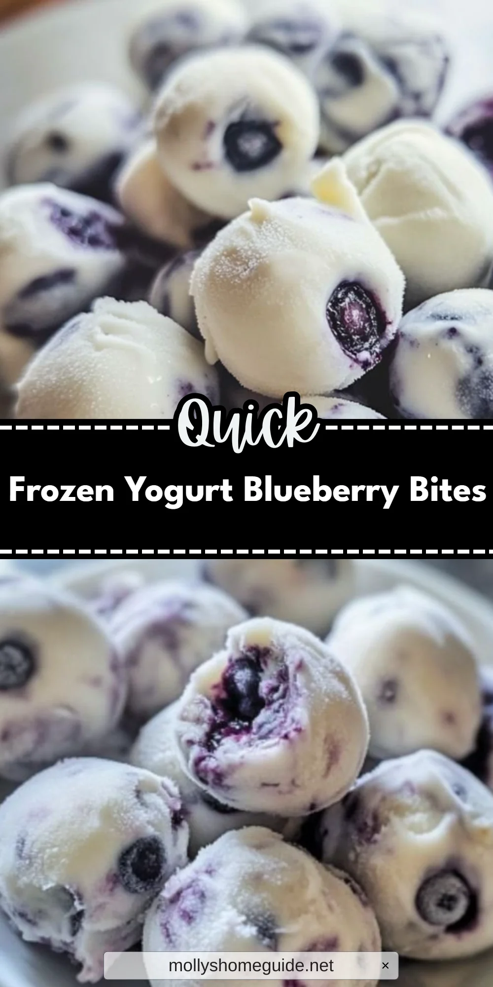 Frozen Yogurt Blueberry Bites
