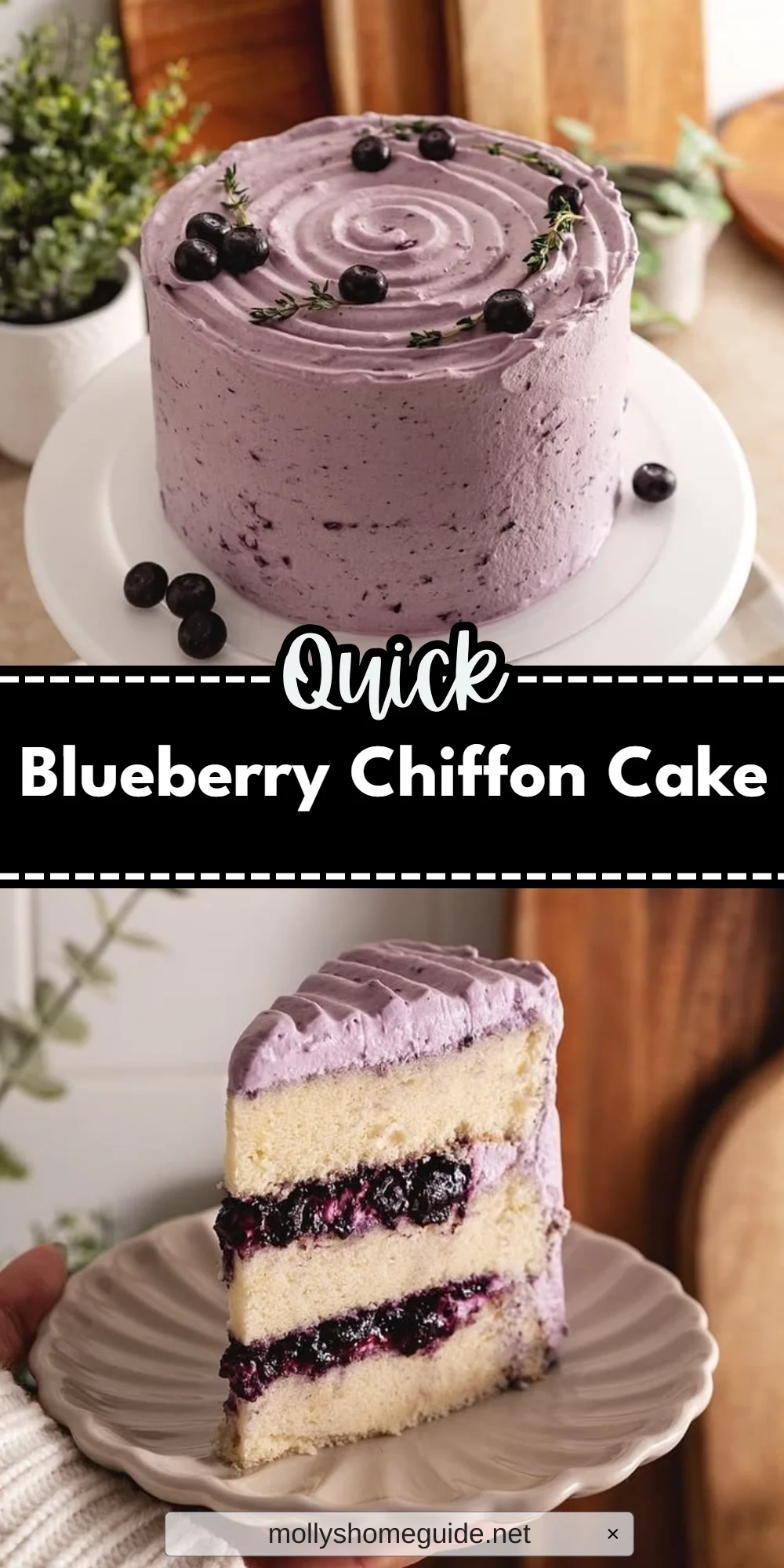 Blueberry Chiffon Cake