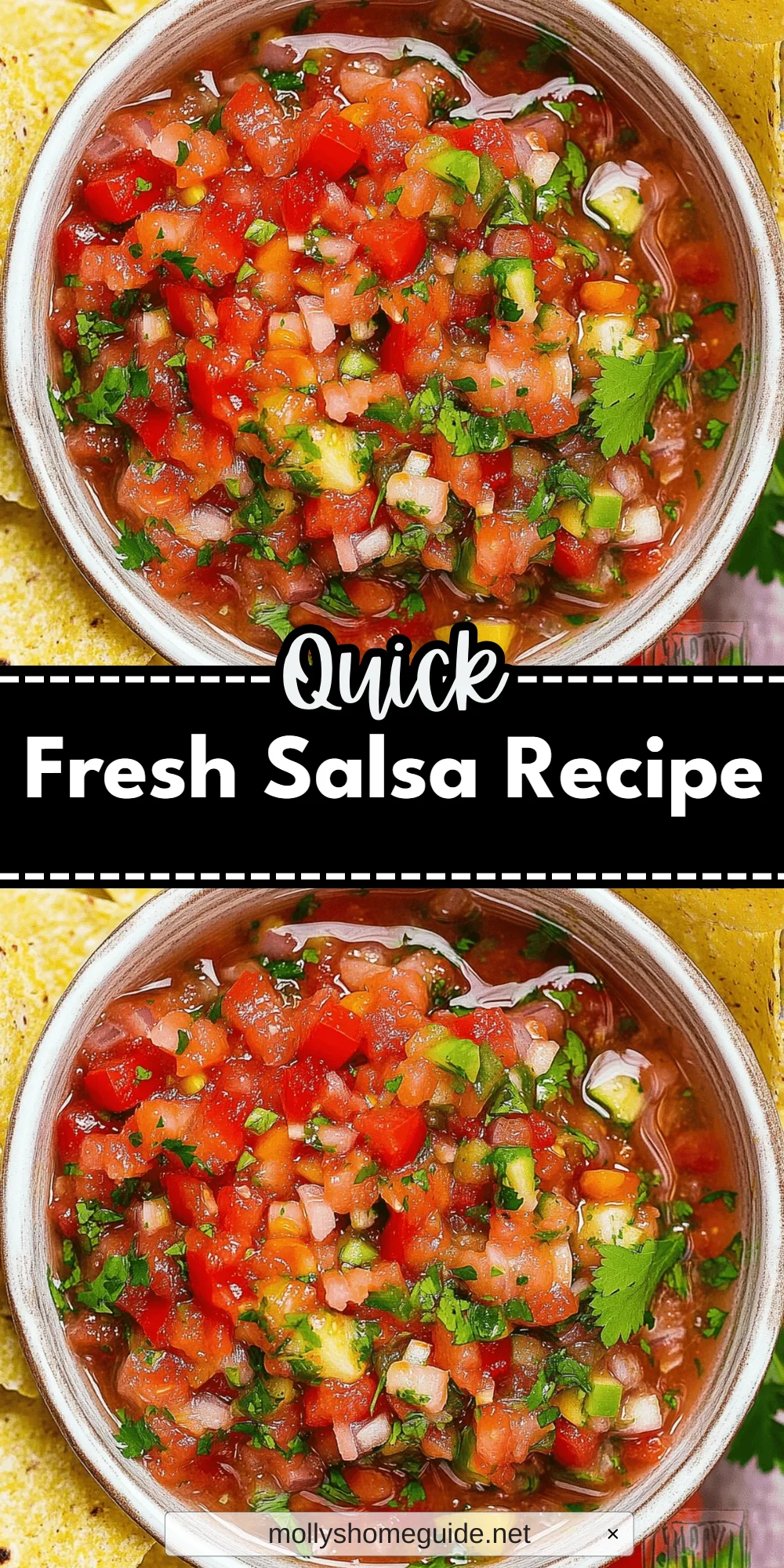 Fresh Salsa Recipe